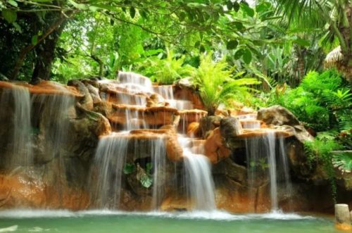 la foresta lussureggiante del costarica