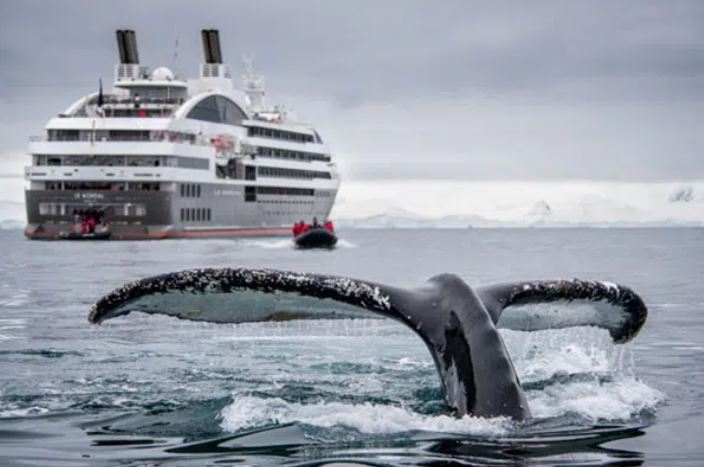 la nave Le Boreal al Polo Sud