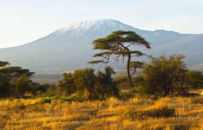 Kilimagiaro