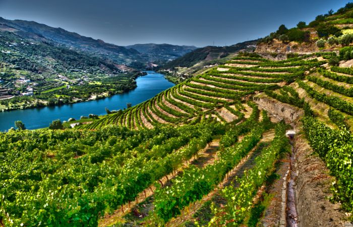 Valle del Douro portogallo in bicicletta