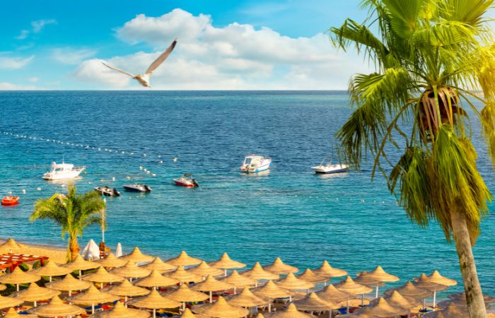 Mar Rosso egitto marsa alam resort
