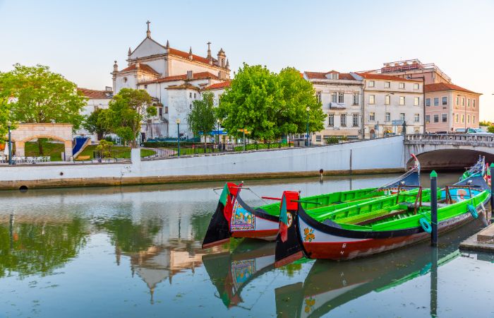 Moliceiro portogallo in bicicletta