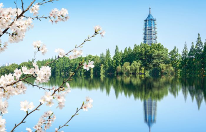 Primavera a Cina