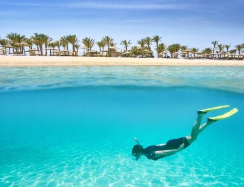 Shoni Bay Resort a Marsa Alam, nel cuore dell’Egitto