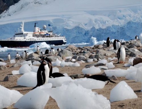 Crociera al Polo Sud: vuoi vedere l’Antartide in grande stile? Parti con APT cruise