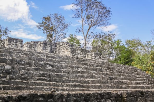 Cobá