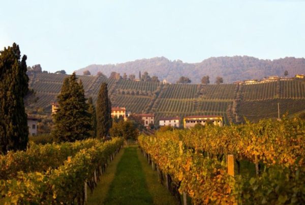 Valcalepio Vini bergamaschi