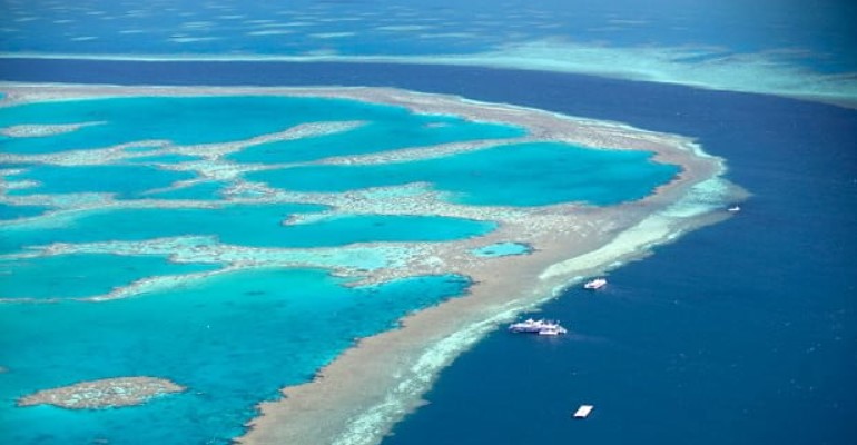 La grande barriera corallina australiana