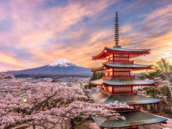 La primavera è un periodo molto popolare per i viaggi di nozze
