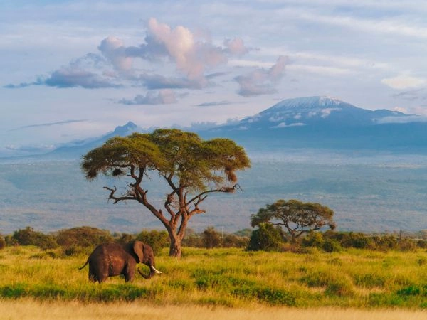 La storia dei safari in Africa ha radici antiche
