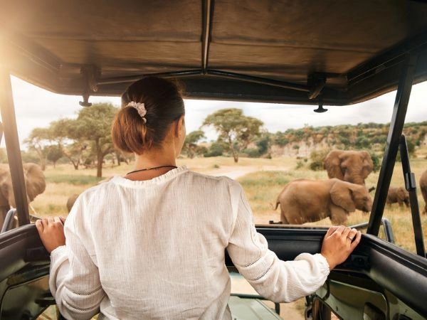 Qual è il periodo migliore per fare un safari in Africa