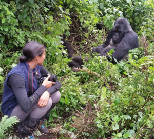 periodo migliore per safari in uganda