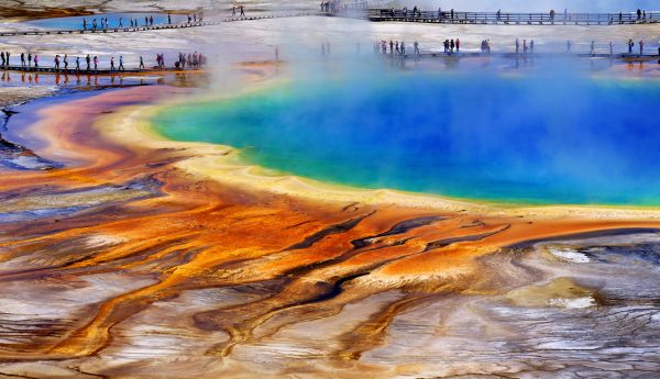 Parco Nazionale di Yellowstone