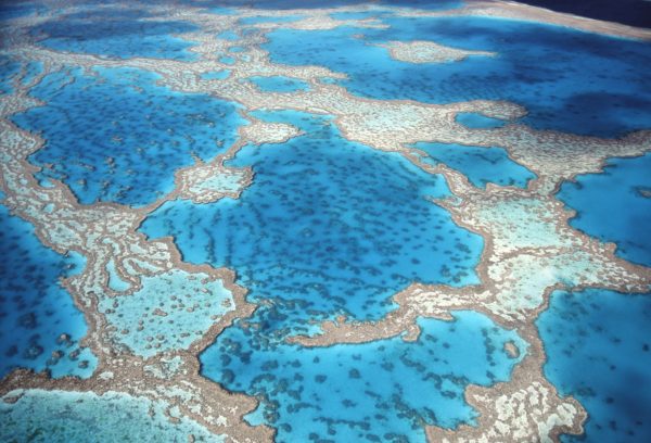 Great Barrier Reef, Australia
