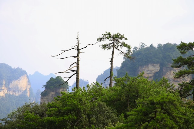 Parco Nazionale di Zhangjiajie
