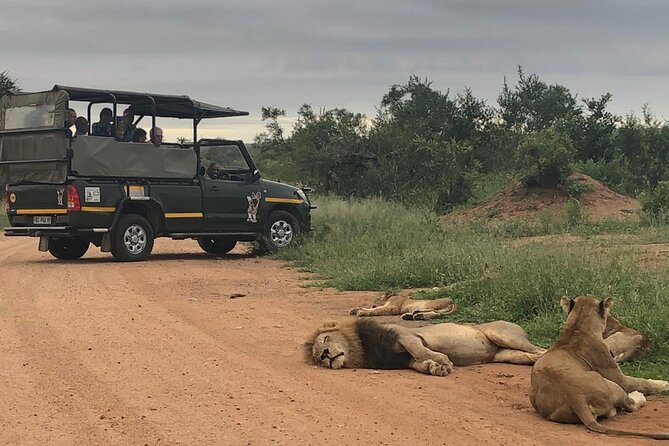 periodo migliore per safari in sudafrica