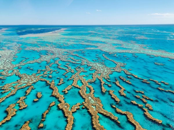 la Grande Barriera Corallina è un paradiso per gli amanti della natura marina