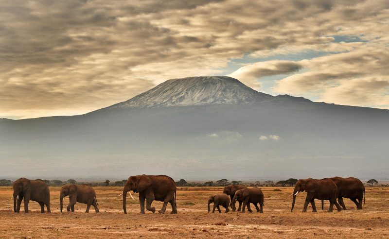 periodo migliore per safari in Tanzania