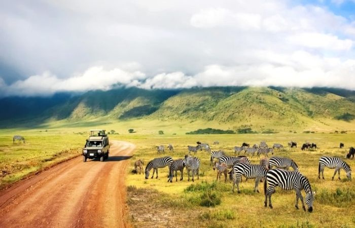safari in africa