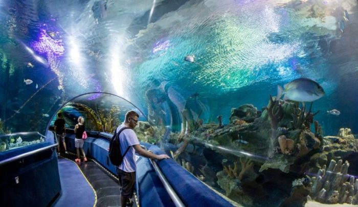 El Gouna Acquarium
