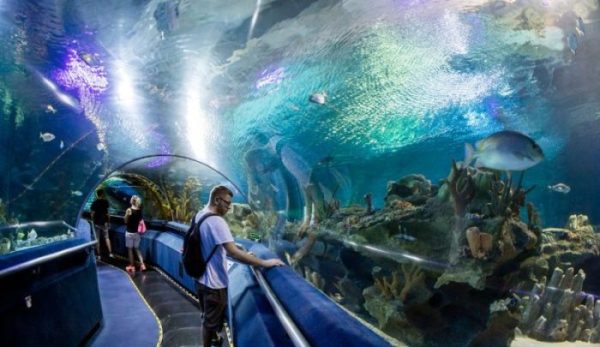 El Gouna Acquarium