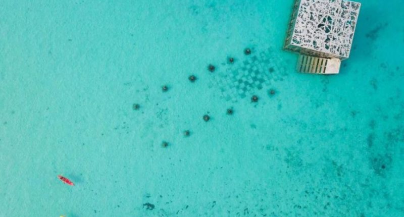 Fairmont Maldive: barriera corallina artificiale ed Eco-Friendly