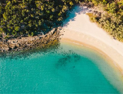 Queensland: Scopri il paradiso nascosto di Great Keppel Island