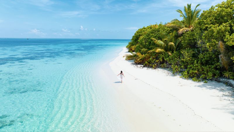 Isola privata delle Maldive con vegetazione tropicale intatta, turismo responsabile