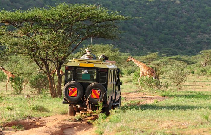 safari kenya