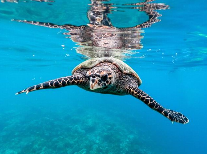 Maldive sostenibili eco friendly