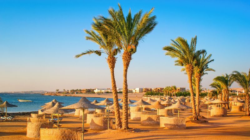 Marsa Alam Viaggio Tra Meraviglie Terrestri E Sottomarine