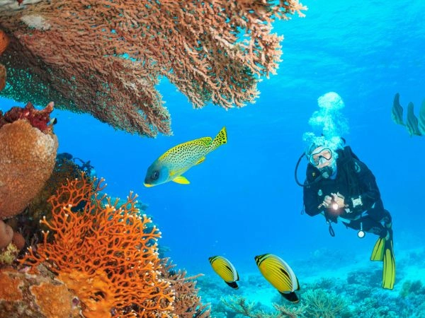 Quando visitare Marsa Alam