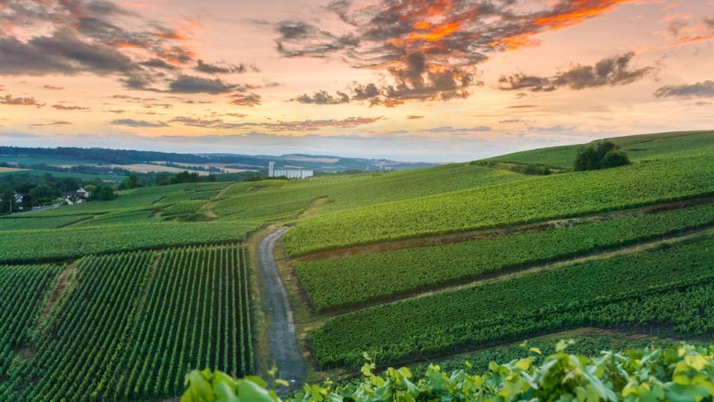 Guida Romantica alla Champagne
