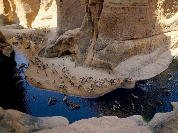 Parco Nazionale di Wadi el-Gemal