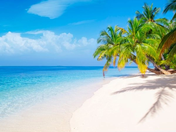 organizzare un viaggio in maldive