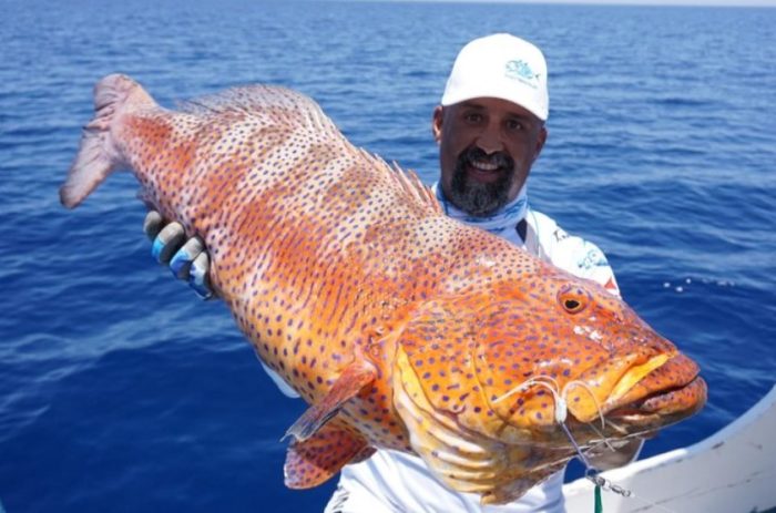 Pesca d'altura El Gouna Egitto