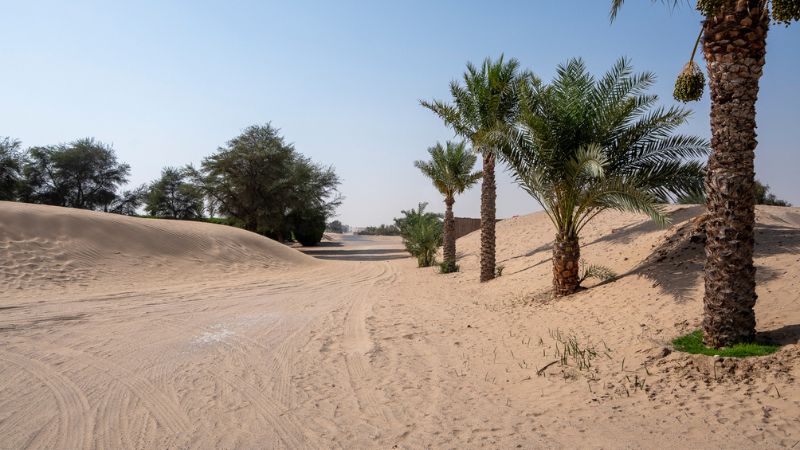 Esplorando Dubai alla scoperta dei resort della collezione Rare Finds di Kerzner