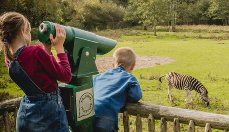 Newquay Zoo Cornwall Cornovaglia