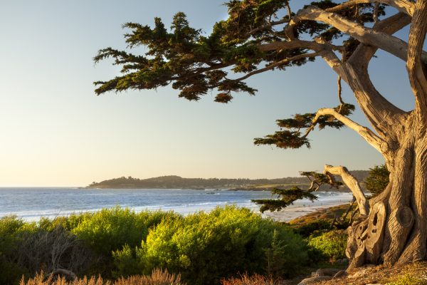 Carmel Beach
