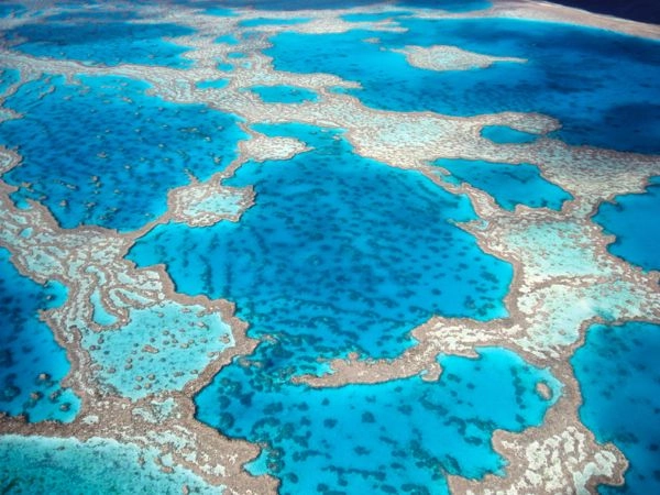 Great Keppel Island è situata sulla Grande Barriera Corallina meridionale