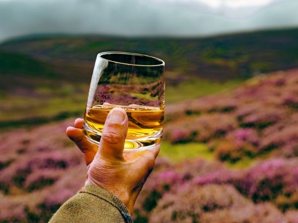 Degustare il whisky scozzese