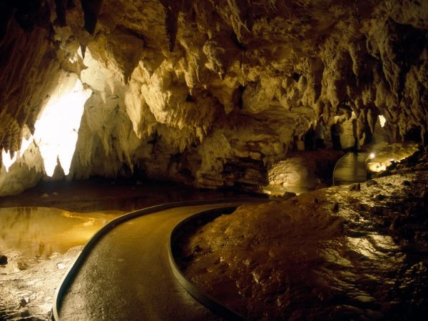 Esplorare le Grotte di Waitomo tra stalattiti e lucciole luminose