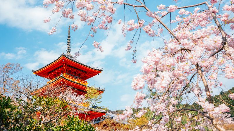 Visitare il Giappone in solitaria