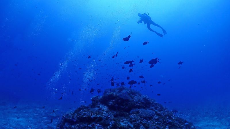 barriere coralline in Giappone
