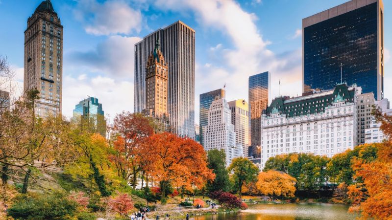 Cosa fare con i bambini a New York: 16 Esperienze Indimenticabili con i figli al seguito