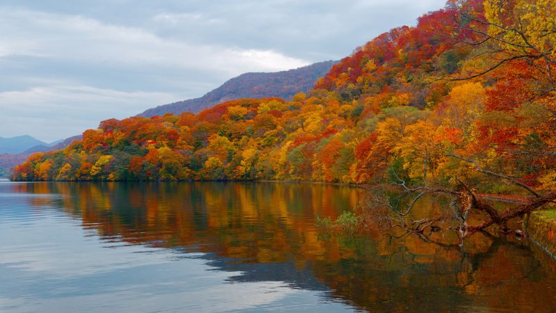 I parchi naturali più belli del Giappone