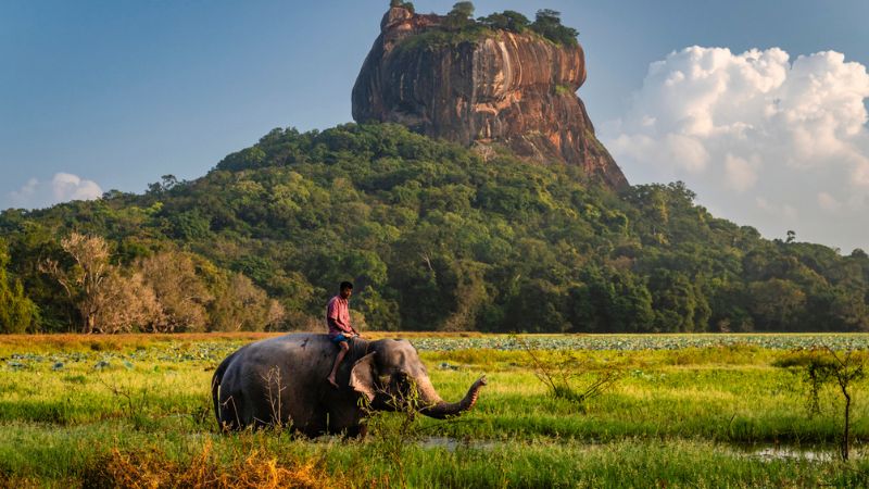 Viaggio in Sri Lanka tra storia, natura e fascino