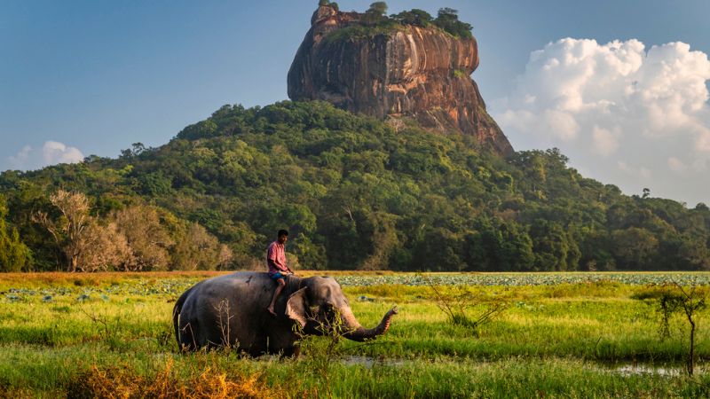 Viaggio in Sri Lanka tra storia, natura e fascino