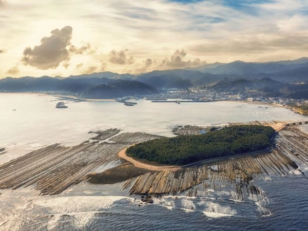 Aoshima è un paradiso per gli amanti della fotografia