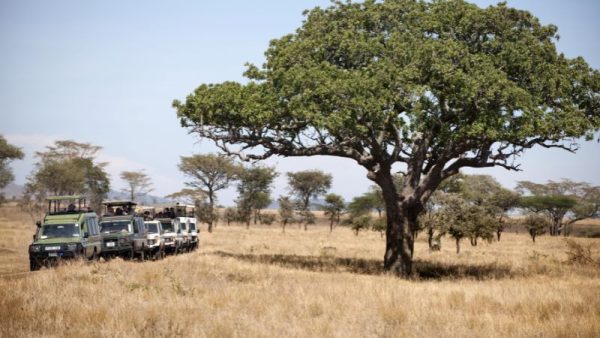 Serengeti